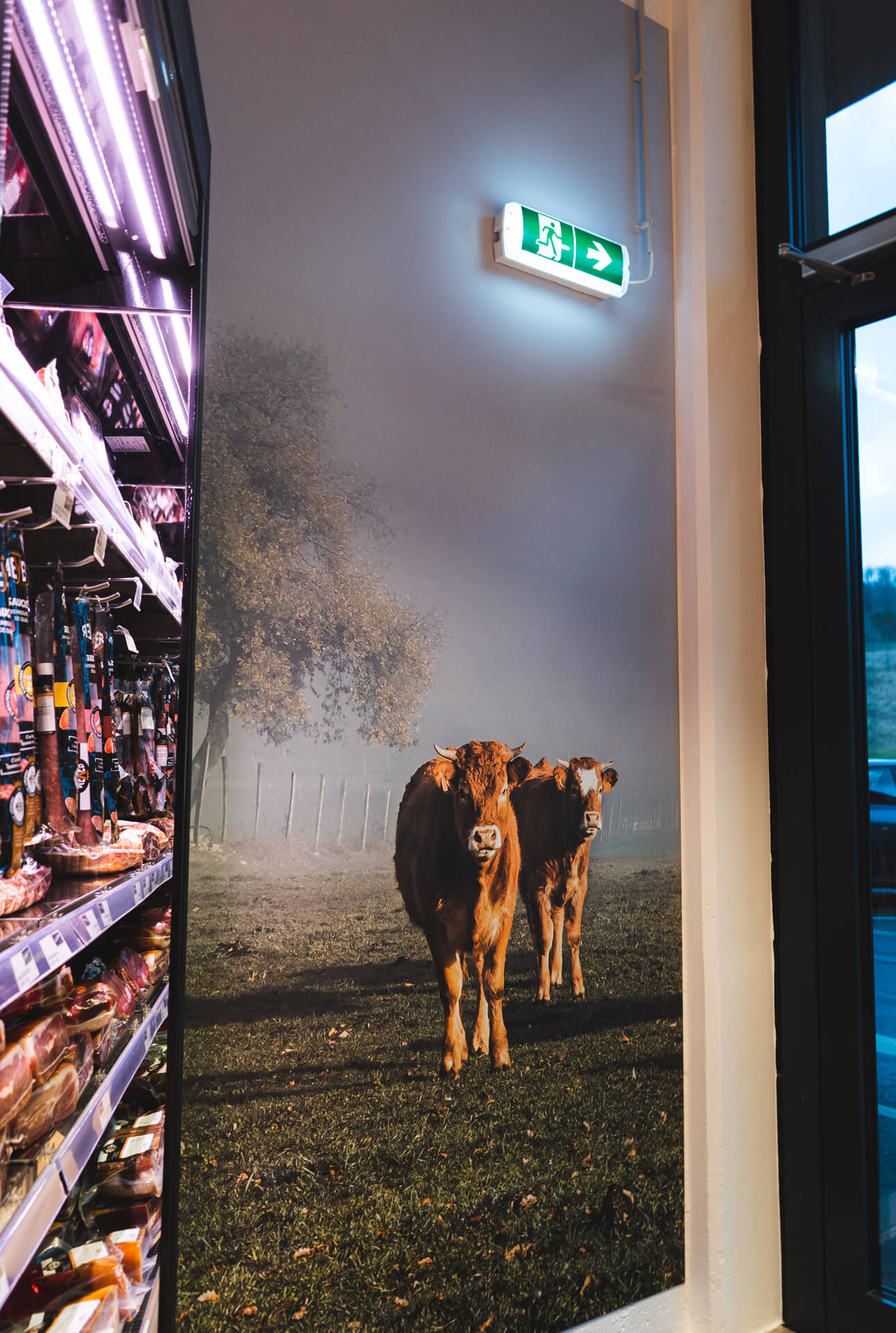 Visuel toute hauteur dans les boucherie. Il montre des vaches dans un pré