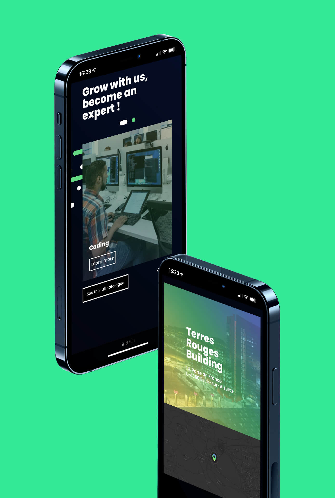 Affichage du site internet du DLH sur un smartphone